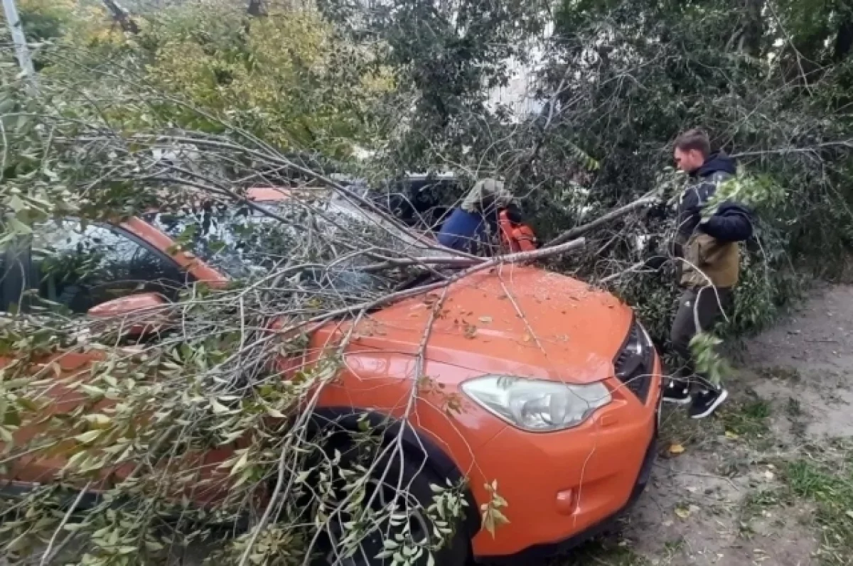В Барнауле зафиксировано 12 происшествий из-за непогоды