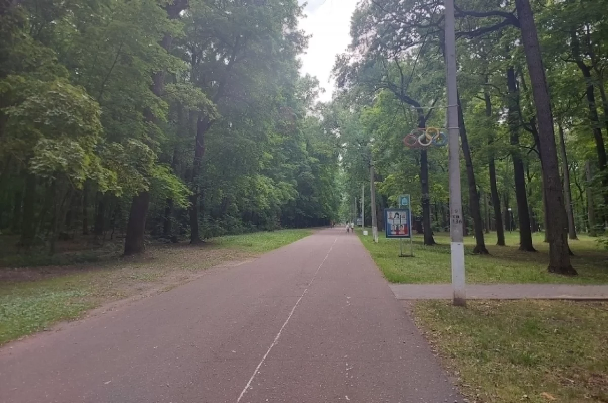 В ночь с 13 на 14 октября в Пензе на Олимпийской аллее проведут обработку