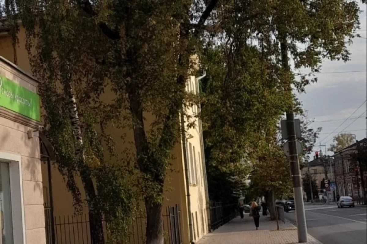 Калуга прогреется до +18: синоптики обещают тёплую пятницу