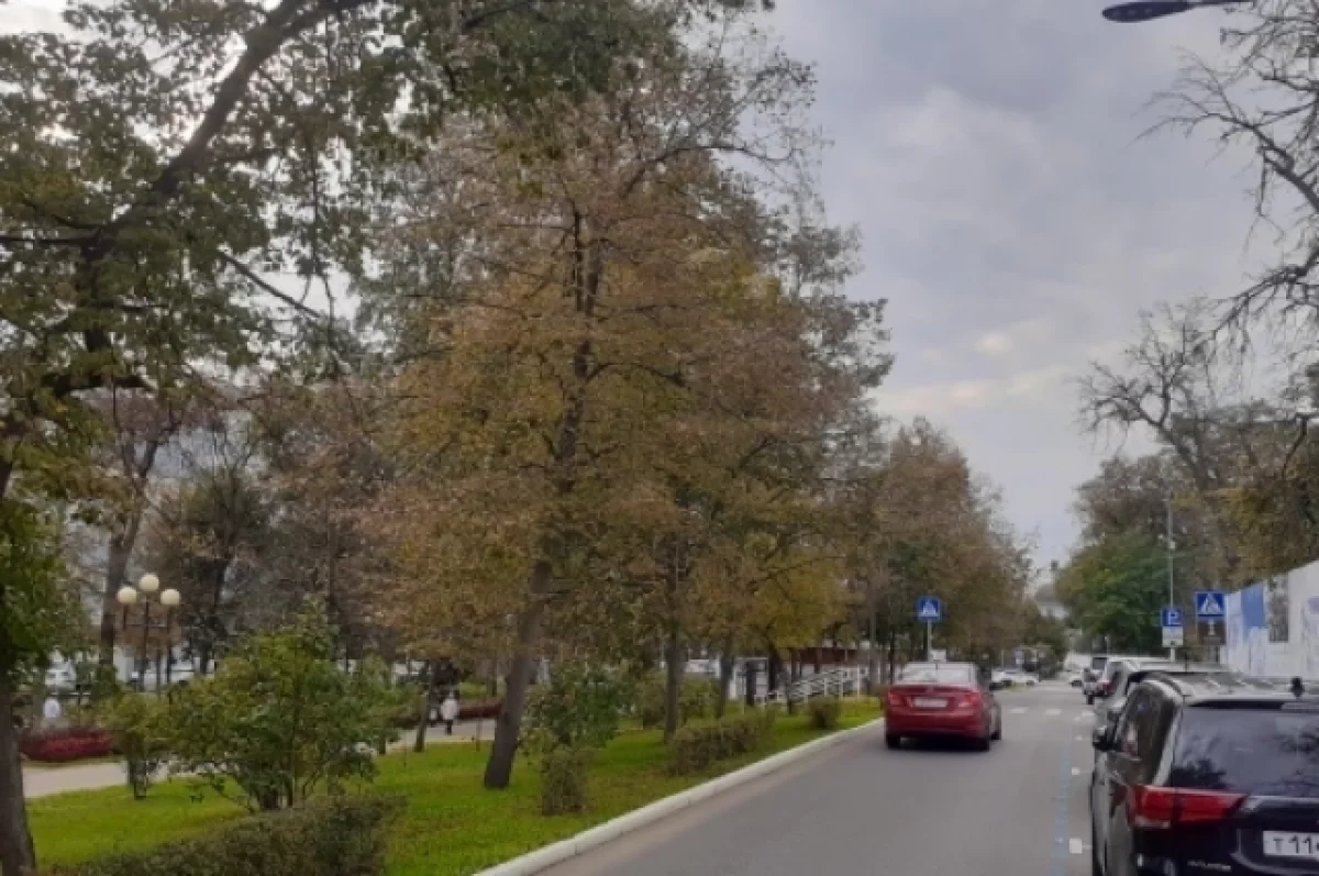 БПЛА, суд над чиновниками, генерация к зиме
