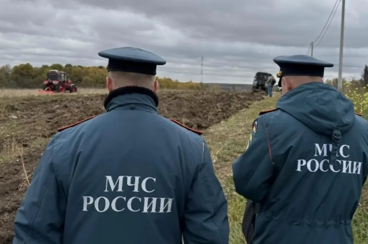 Туляки 10 лет не допускают лесных пожаров, хотя нарушения есть