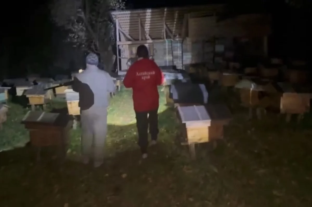 Друг пытался спасти подростка, на которого напал медведь