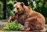ad918ce081b8b6102514f53ae4baae04.webp