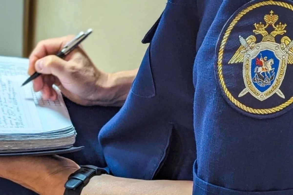 Экс‑сотрудницам Владимирстата предъявлены обвинения в мошенничестве