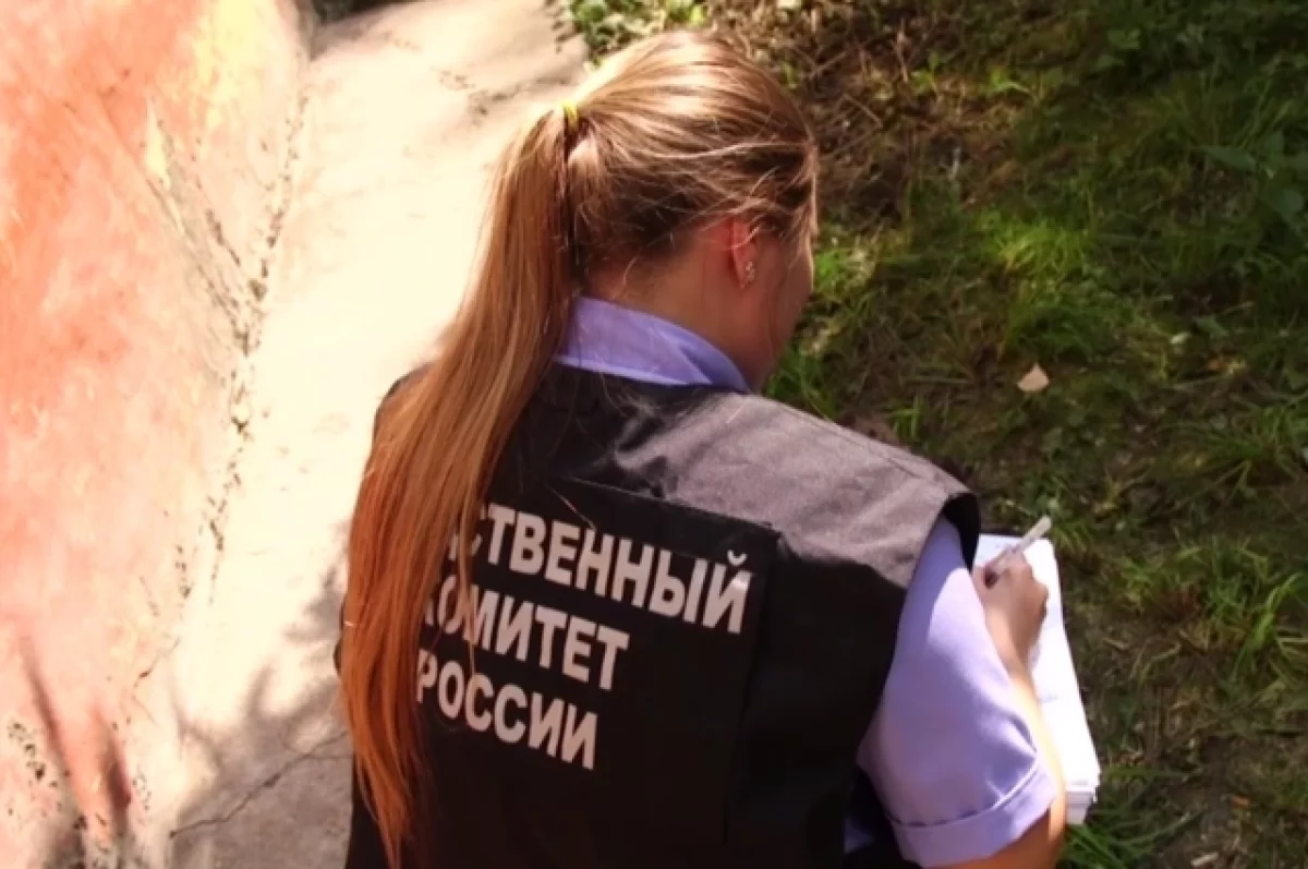 В СК Прикамья рассказали подробности гибели 4-летней девочки