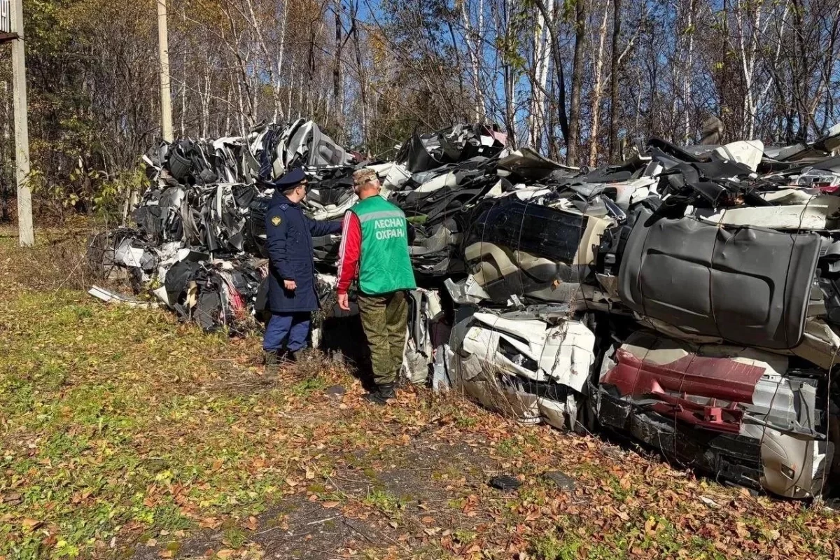 Под Хабаровском прокуратура потребовала убрать автосвалку возле Хехцира
