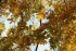 44a48dd0bc5d5847f2128e7958d6838c.webp
