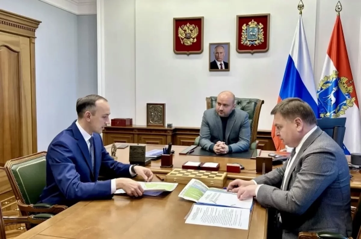 Федорищев и Скуфинский обсудили газификацию Самарской области