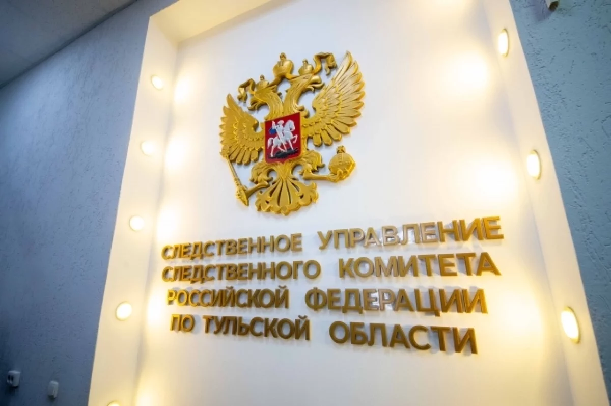 Ущерб от преступлений в Тульской области превысил 470 млн рублей