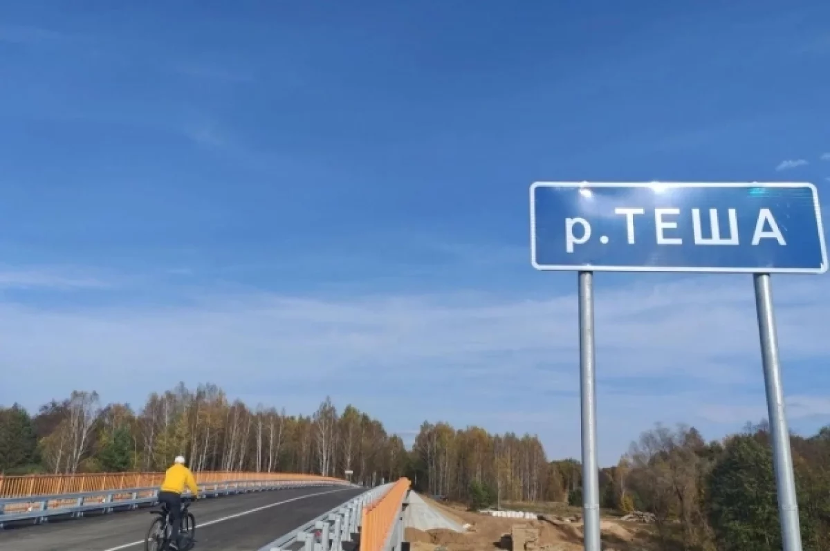В Нижегородской области мост через Тешу открыли после ремонта