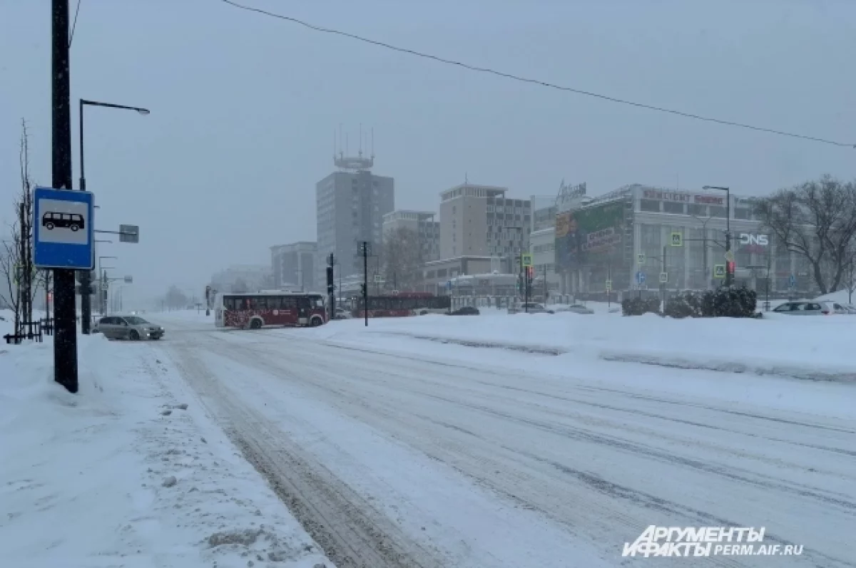 Первая метель накроет Новосибирскую область в выходные