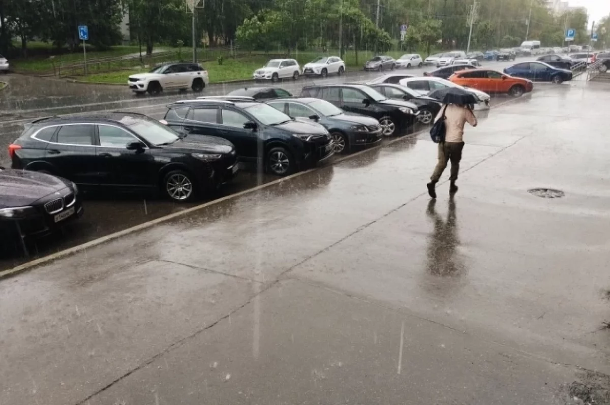 В субботу в Калининградской области ожидаются дожди и до +15 градусов