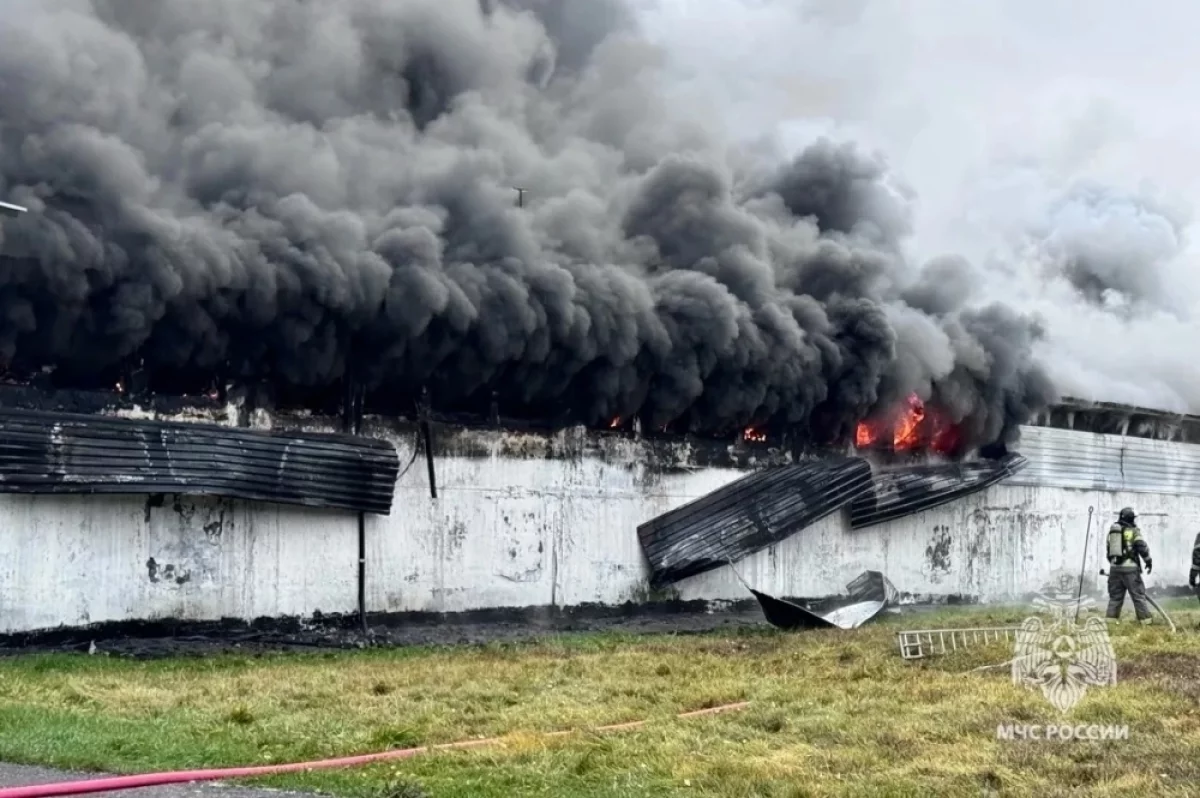На птицефабрике в поселке Светлом произошел крупный пожар
