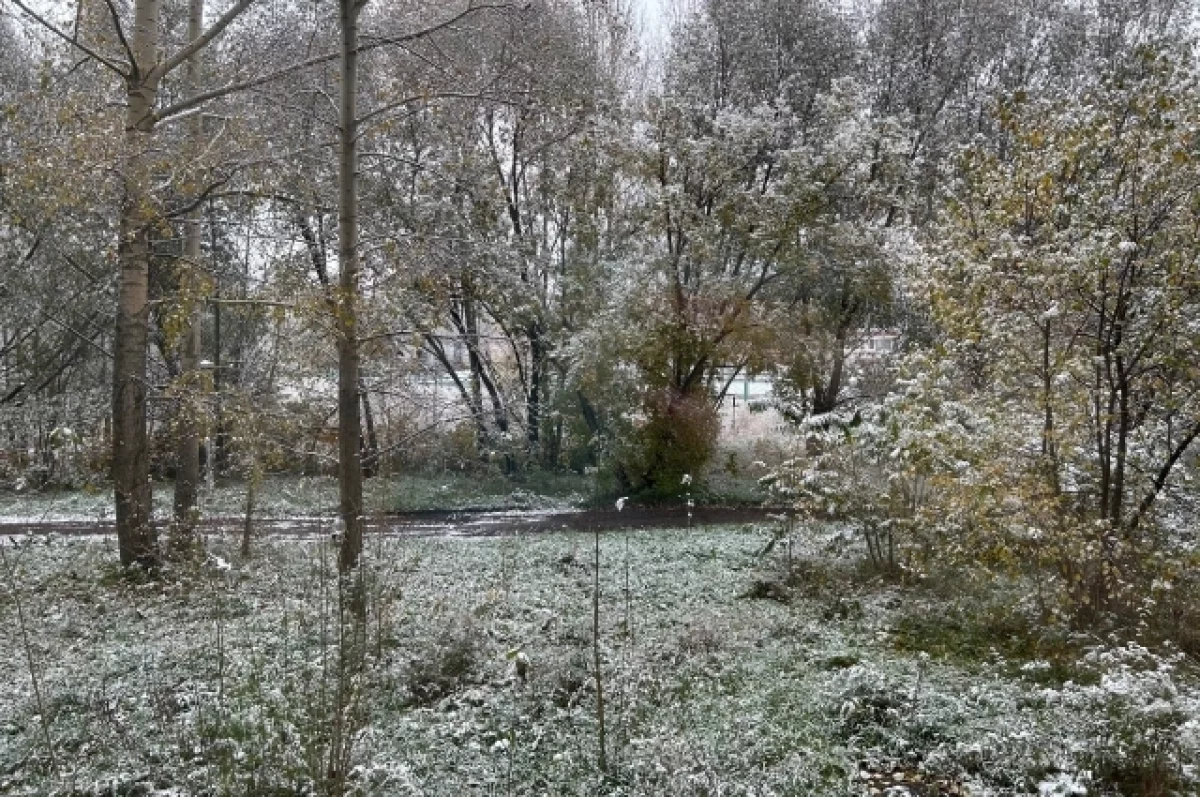 Ночные заморозки до -5°C и мокрый снег ждут Томскую область