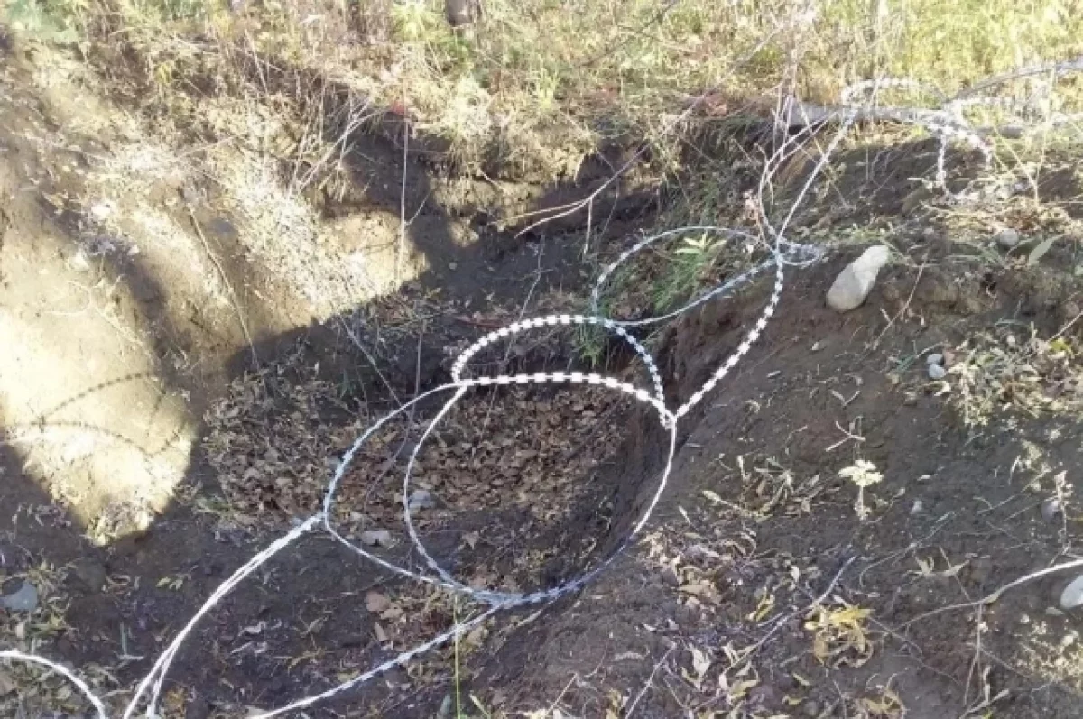 Елизовчане обеспокоены «медвежьими ловушками» у озера Светлого