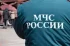 7b95cb941f29156ea8ce7ed45253b39c.webp