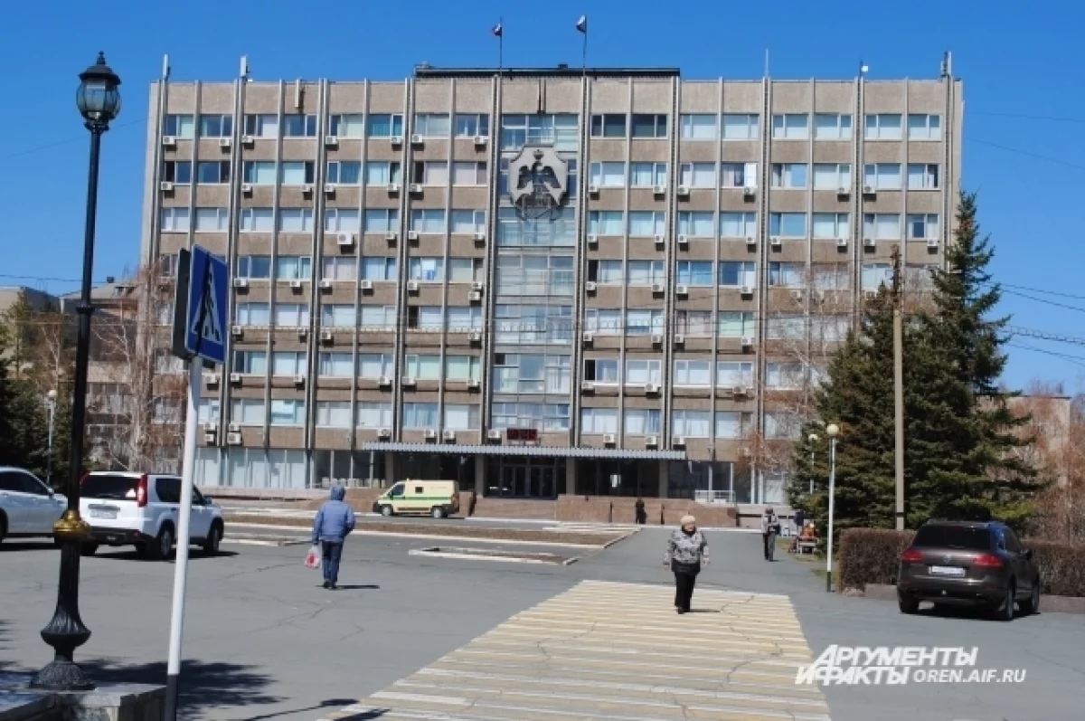 В Орске дети пострадали от укусов бродячих собак: суд взыскал компенсации