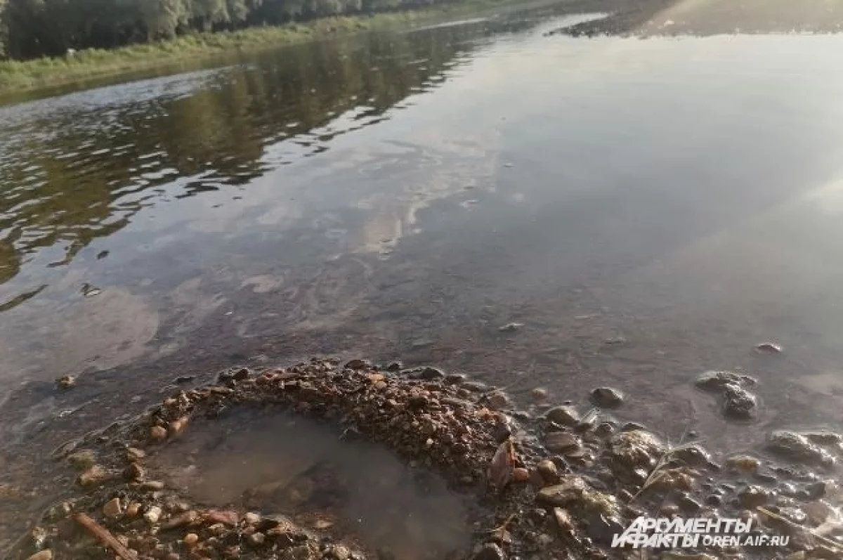 С обрыва в реку: в Татарстане спасатели достали тела двух мужчин из авто