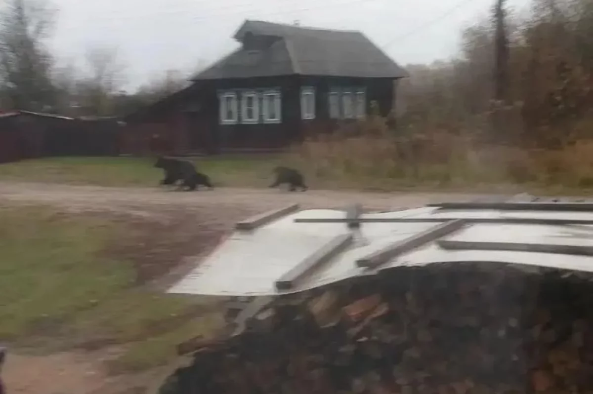 12 октября: петарда в ночи и сбои в такси
