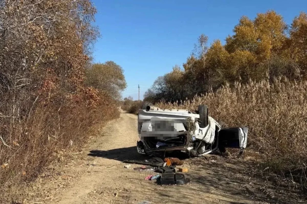 В Хабаровском районе водитель Mazda погиб после опрокидывания в кювет