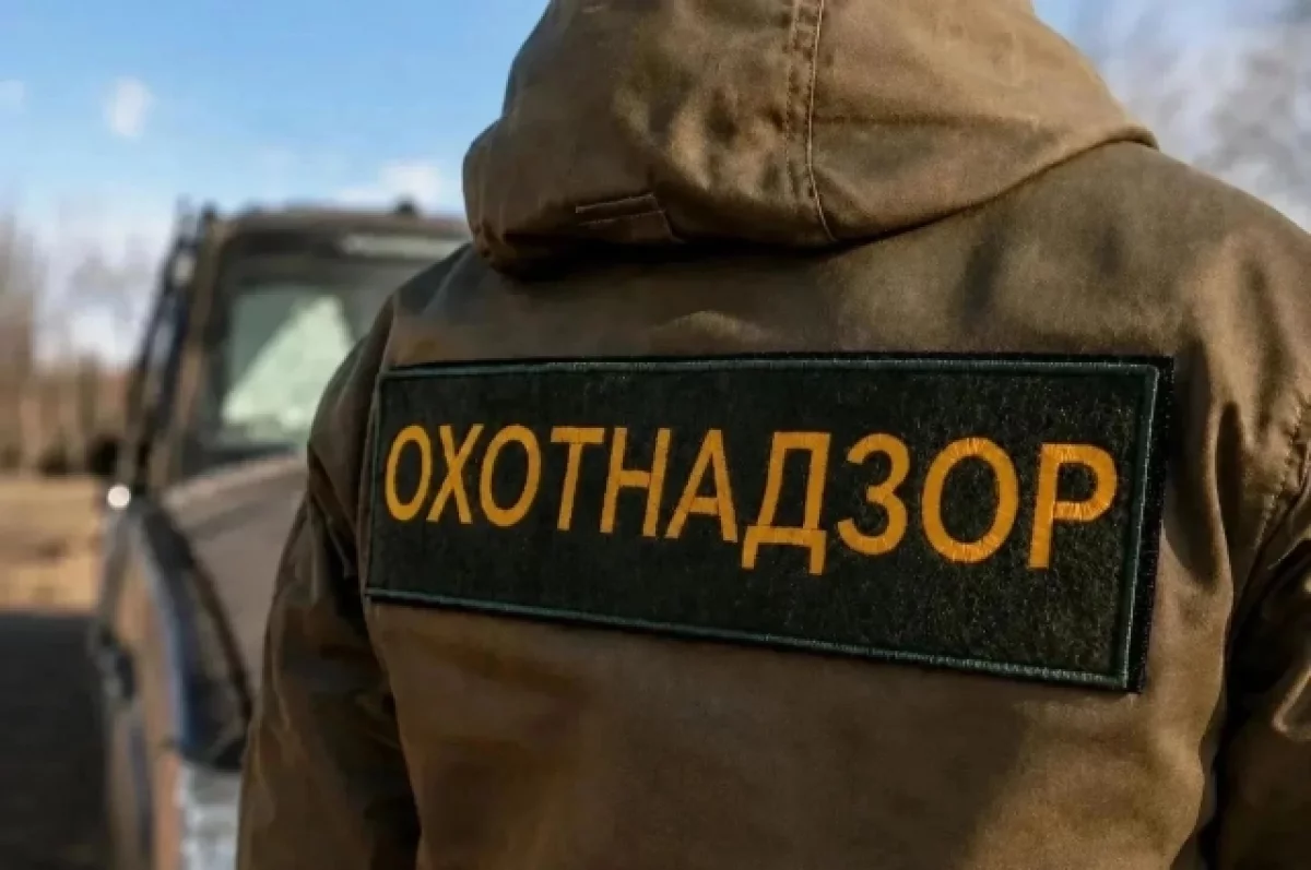 Задравшего двух свиней медведя устранили в селе Билютуй в Забайкалье
