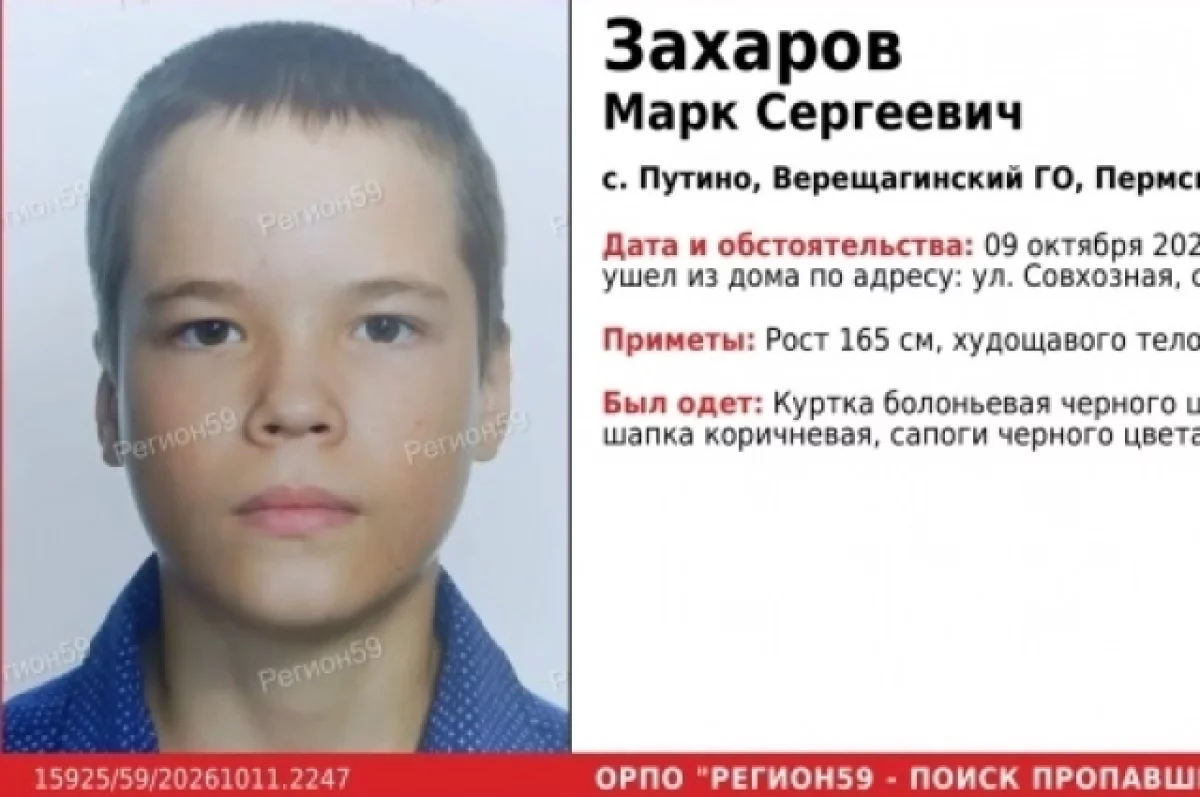 В Пермском крае с 9 октября ищут без вести пропавшего 15-летнего мальчика