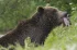 b53aab8e3b0734a87815467009346fa3.webp