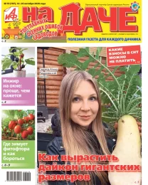 Топ главных осенних ошибок садоводов
