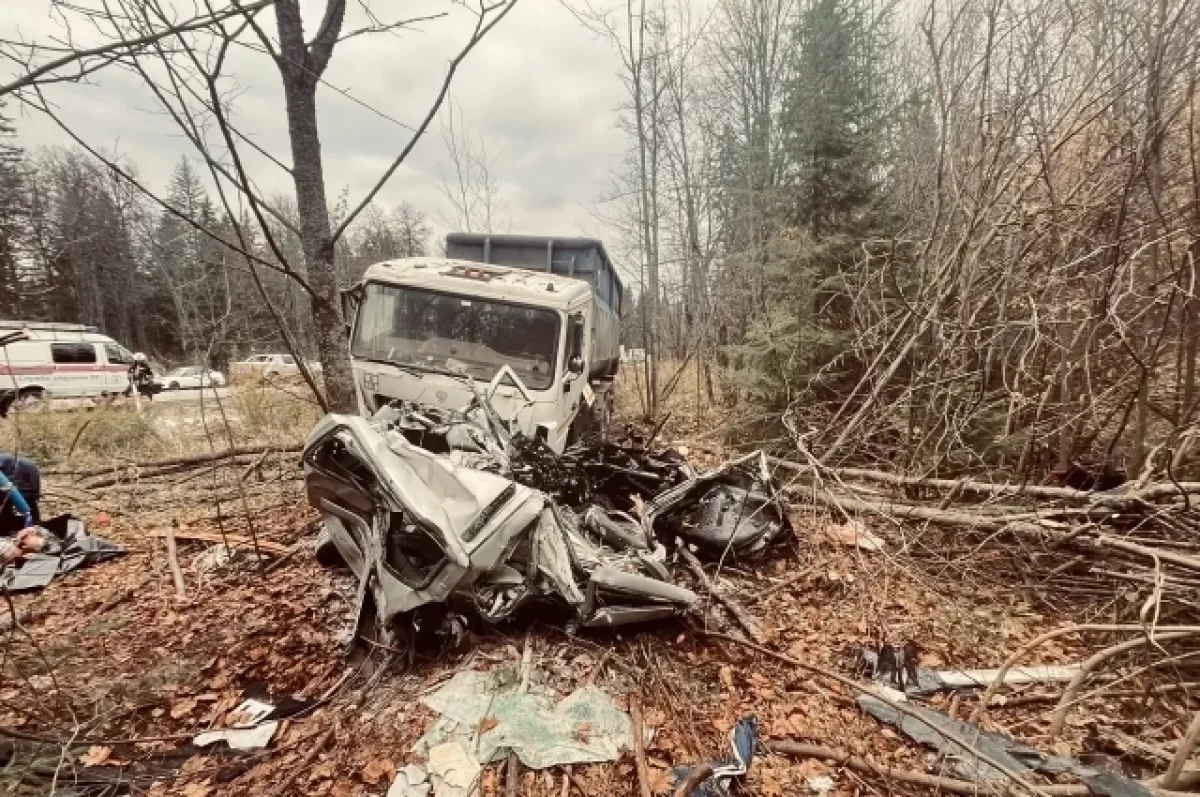 25-летняя девушка погибла в страшной аварии с фурой под Ижевском