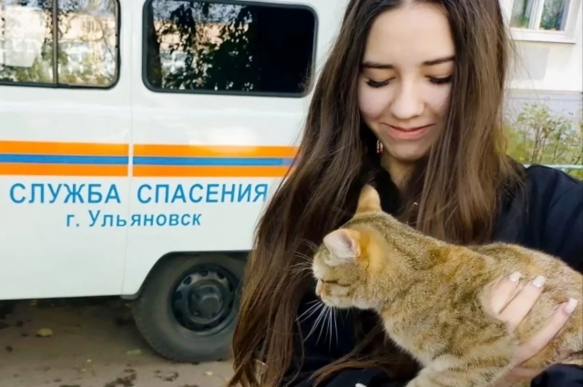 Ульяновские спасатели пришли на помощь домашнему коту, застрявшему на ветке