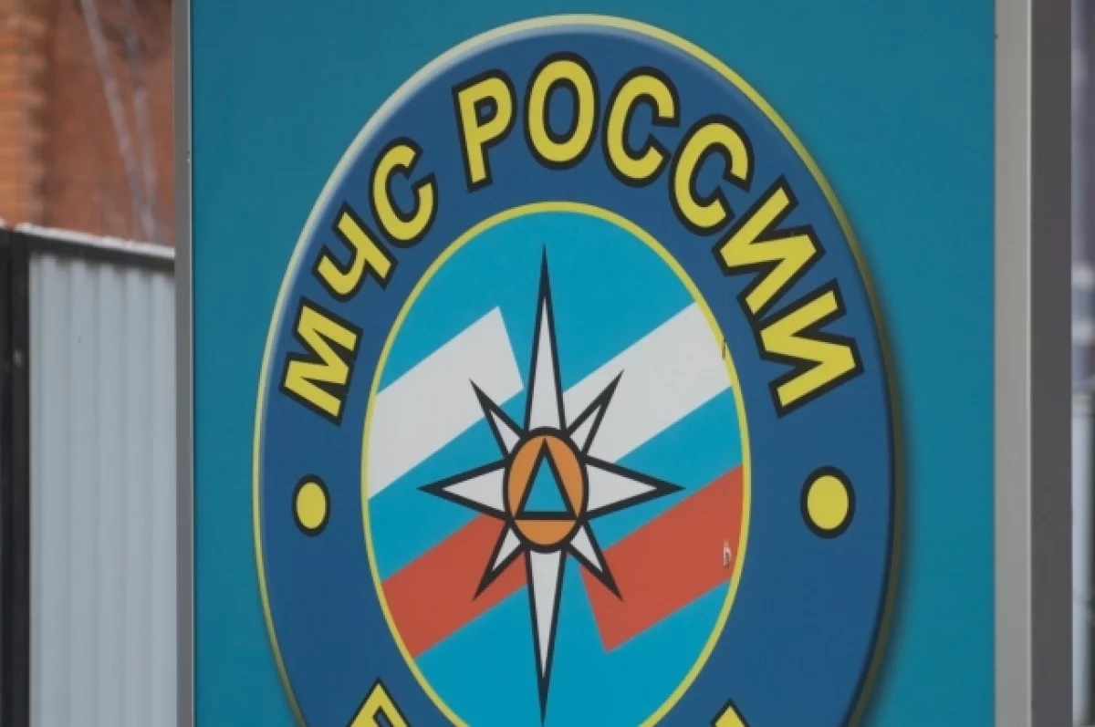 В Тульской области за неделю спасли 13 человек на пожарах