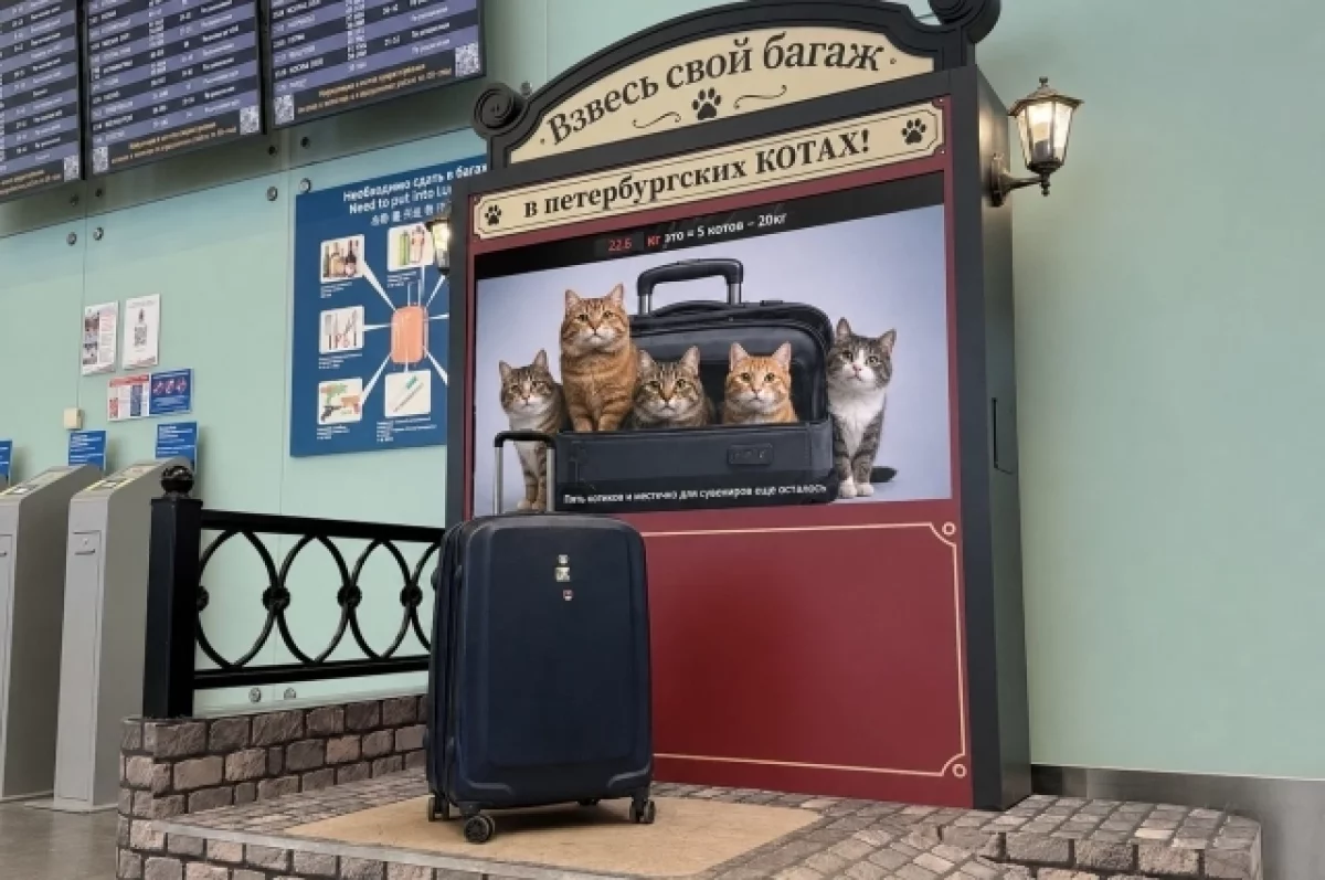 В Пулково установили весы, которые измеряют багаж в котах