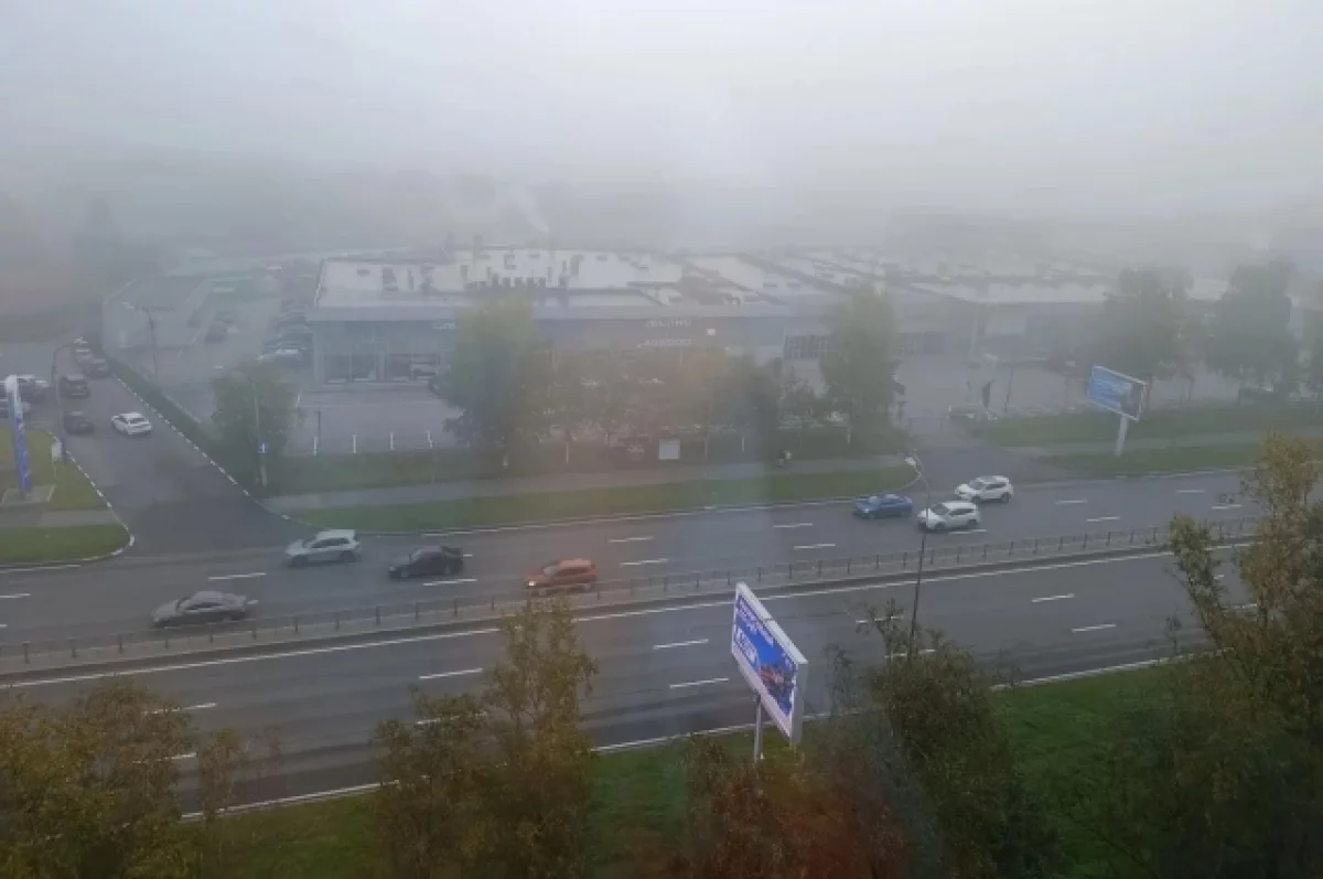 Во вторник в Калининградской области ожидаются дожди и туманы