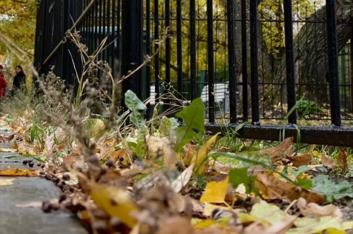 Жителей Кировской области предупреждают о мощном потеплении с 13 октября