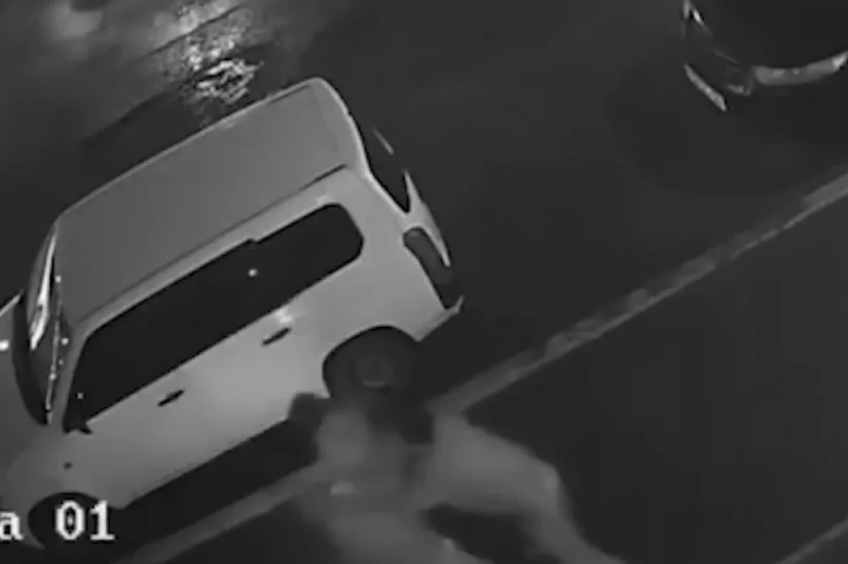 Стали известны подробности задержания напавшего на девочку в Красноярске