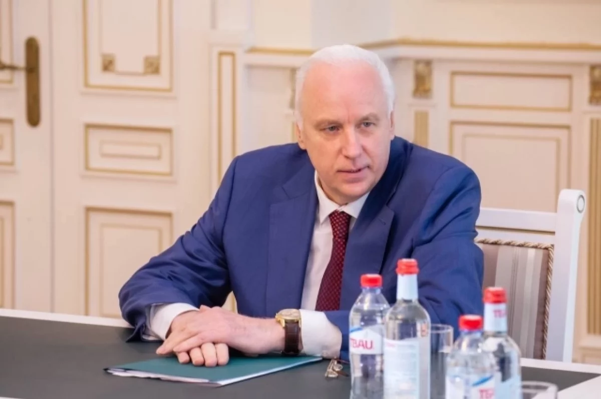Бастрыкин поручил проверить разбитую дорогу под Новосибирском