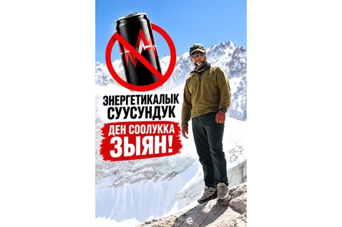 В администрации президента Кыргызстана призвали отказаться от энергетиков