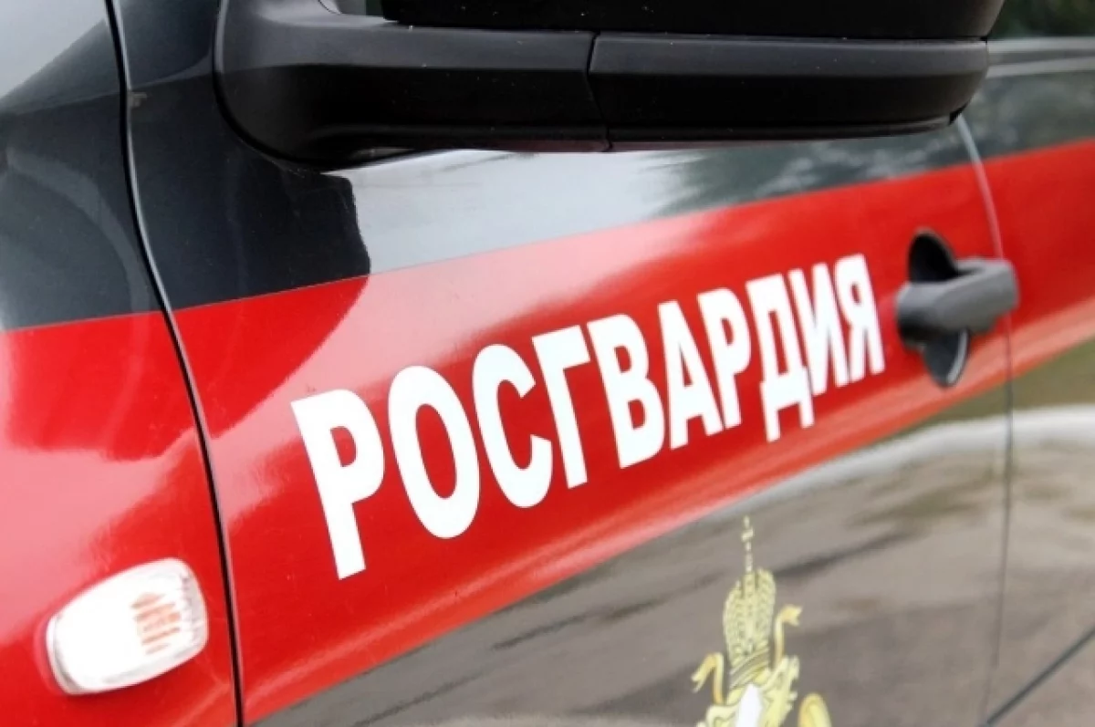 В Курганской области росгвардейцы скрутили вооруженного ножом вора