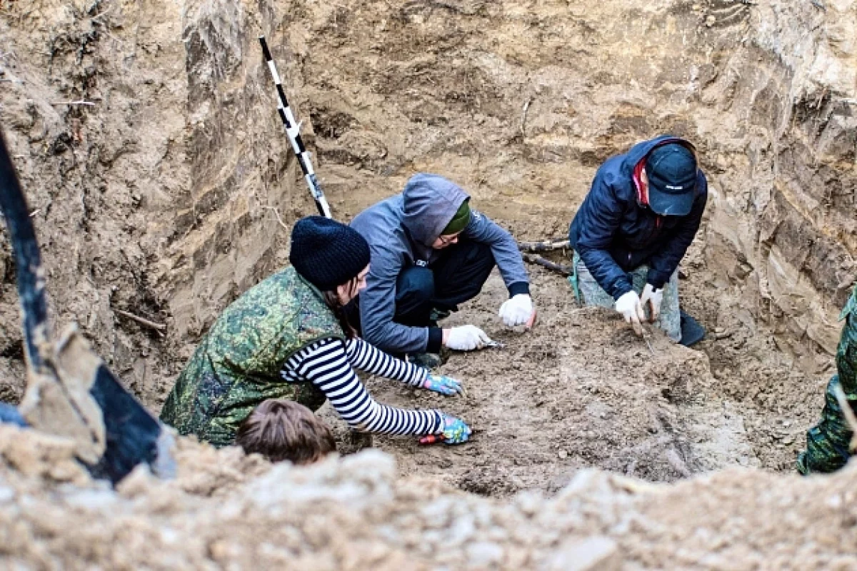 Под Волгоградом фермеры нашли самолет ПЕ-2, пропавший в годы ВОВ