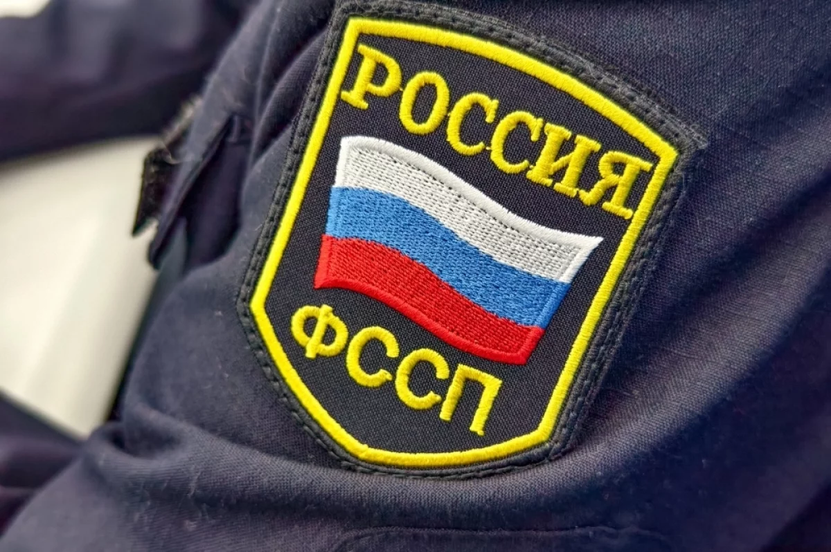 Приставы нашли под Колпашевом скрытую иномарку должника