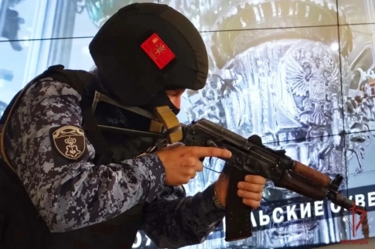 В Туле росгвардейцы поймали «налётчика на музей»