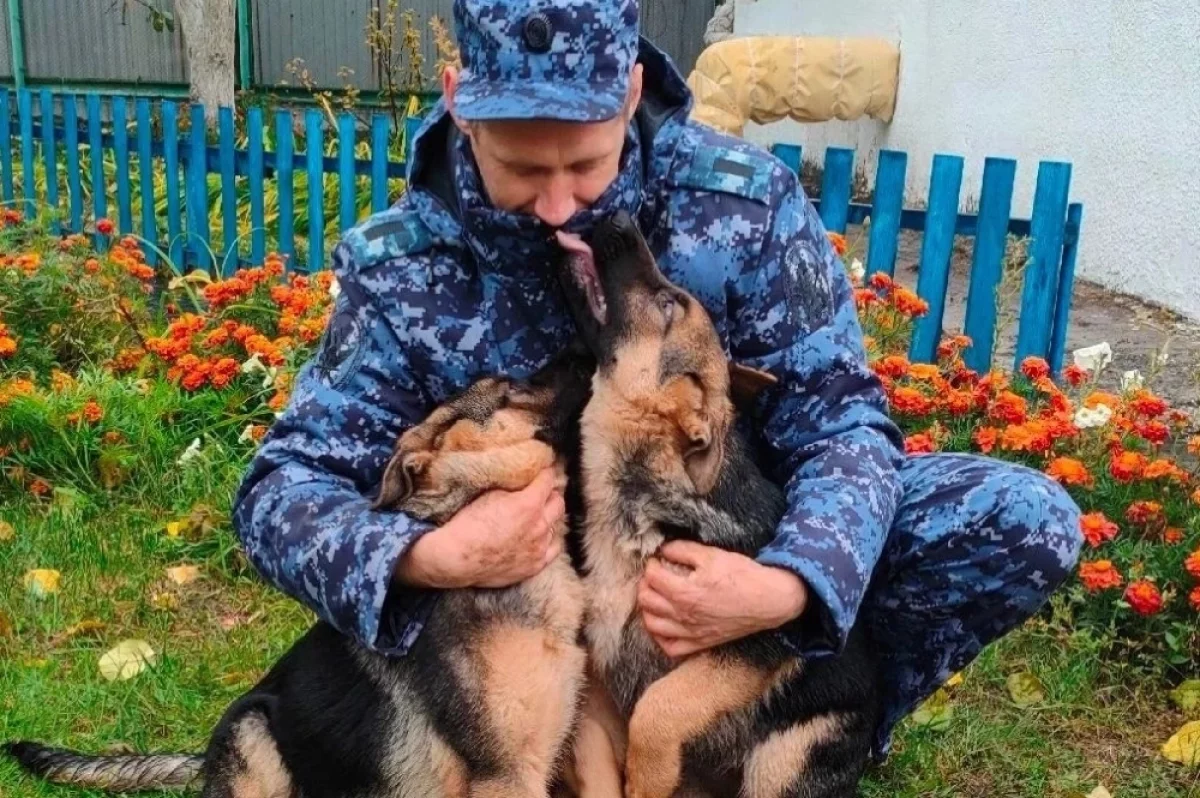 Пять щенков из омского питомника УФСИН отправились служить в Томск