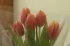 4ec9f482bac7fe3f30dfdb313d99ddad.webp