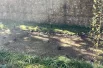 На берегу реки Ольховка всегда можно встретить большое количество уток, которых подкармливают жители города и туристы.