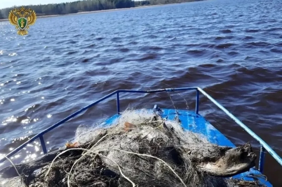На водоёмах Тульской области обнаружили 21 сеть и запрещённую раколовку