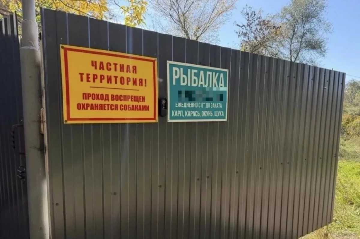 Школьник пострадал от нападения собак