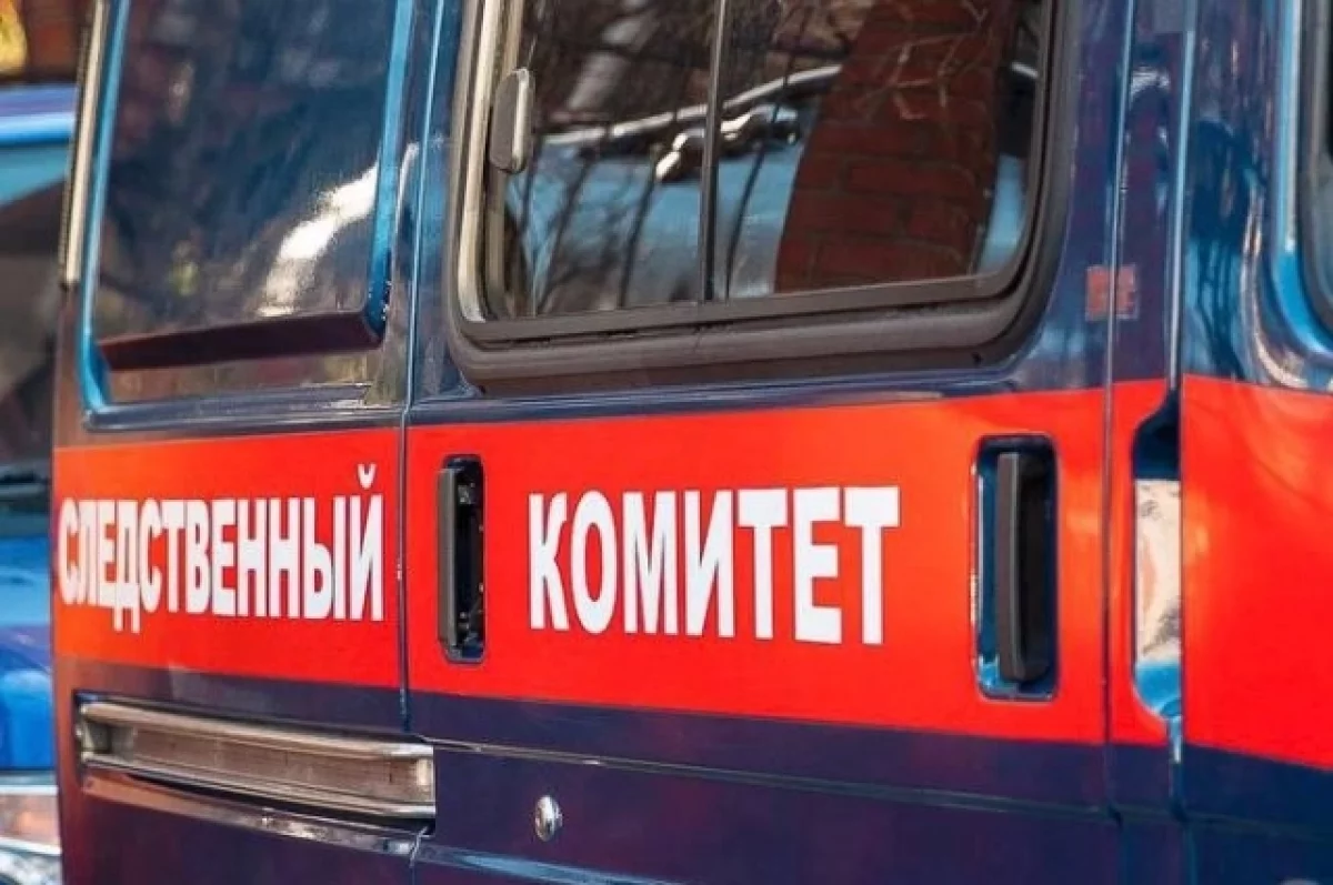 В Следкоме рассказали о наиболее громких преступлениях баталхаджинцев