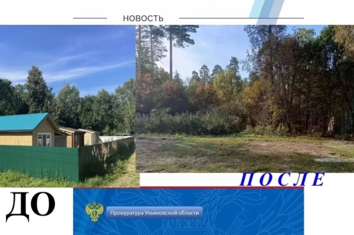 Прокуратура заставила снести самовольные постройки в лесу у Белого озера