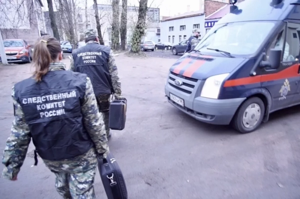 Бастрыкин потребовал доклад по делу о травме девочки в экоцентре