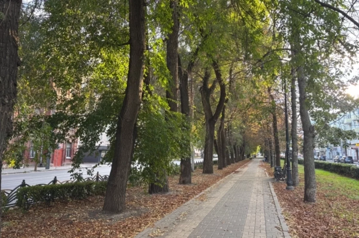 БПЛА, падение с высоты, расписание электричек